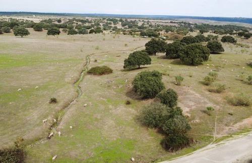 Castelo de Vide Cottage | 52 m² Cabin ∙ 1 bedroom ∙ 3 guests