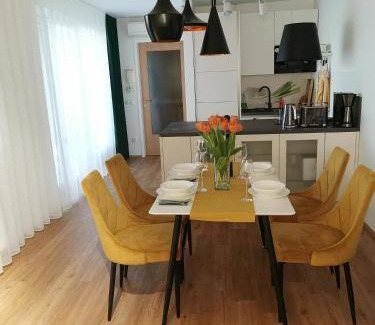 Moravske Toplice Apartment | 53 m² Apartment ∙ 1 bedroom ∙ 4 guests