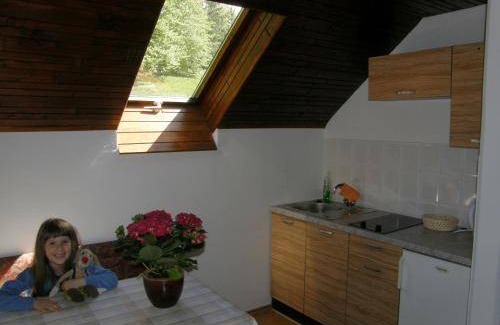 Ribcev Laz Apartment | 54 m² Apartment ∙ 2 bedrooms ∙ 5 guests