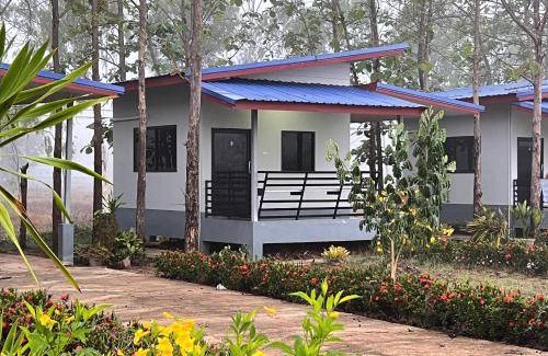 Dok Khamtai House | 54 m² House ∙ 4 guests
