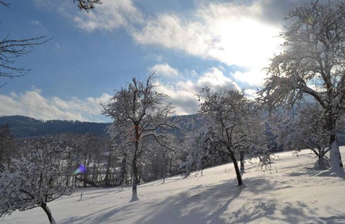 Aurach am Hongar Apartment | 55 m² Apartment ∙ 3 bedrooms ∙ 5 guests