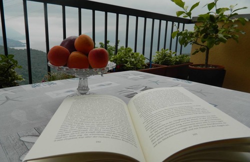 Vignone Apartment | 55 m² Apartment ∙ 2 bedrooms ∙ 5 guests
