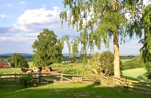Nes Municipality House | 55 m² Farmhouse ∙ 1 bedroom ∙ 4 guests