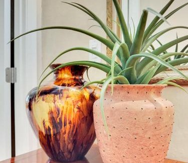 Arabian Crest House | 55th Scottsdale