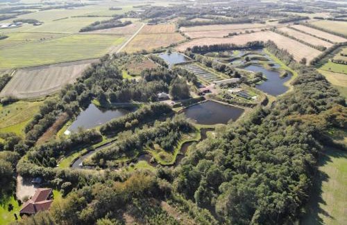 Ringkobing House | 6 person holiday home in Ringkøbing