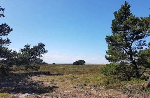 Vestero Havn House | 6 person holiday home in Læsø-By Traum