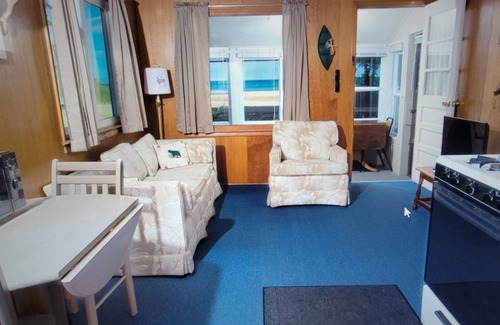 Northeastern Michigan Cottage | #6 Thomas' Parkside Cottages, 2 BR Beach Cottage on Lake Huron, Downtown local