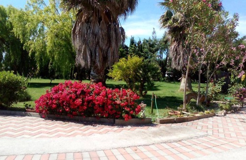 Olmedo Apartment | 60 m² Apartment ∙ 1 bedroom ∙ 2 guests