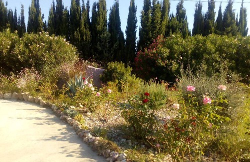 Olmedo Apartment | 60 m² Apartment ∙ 1 bedroom ∙ 2 guests