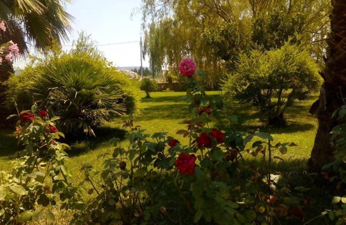 Olmedo Apartment | 60 m² Apartment ∙ 1 bedroom ∙ 2 guests