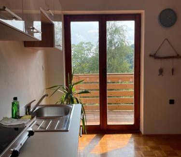 Zalec Apartment | 60 m² Apartment ∙ 1 bedroom ∙ 3 guests