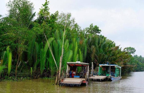 Mo Cay Bac House | 60 m² Bungalow ∙ 4 guests