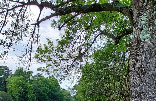 Shreveport House | 6011 On The Ponderosa