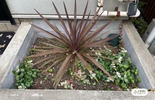 Naka Apartment | 61平米快適滞在!横浜中華街&山手エリアの静かな一軒家