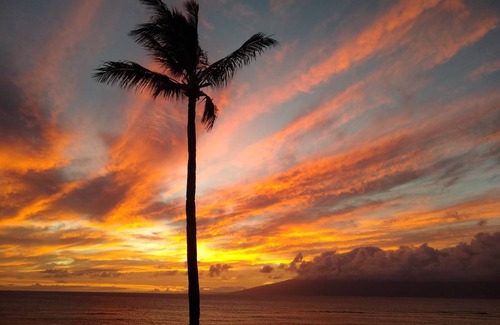 Kahana Condo | 61 m² Condo ∙ 1 bedroom ∙ 4 guests