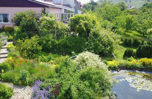 Edesheim Apartment | 62 m² Apartment ∙ 2 bedrooms ∙ 6 guests