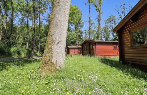 Kenwick Cottage | 64 Acorn Lodge Kenwick Park