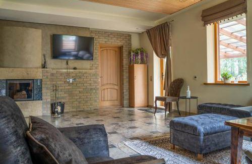 Darsuniskis Apartment | 64 m² Apartment ∙ 1 bedroom ∙ 3 guests