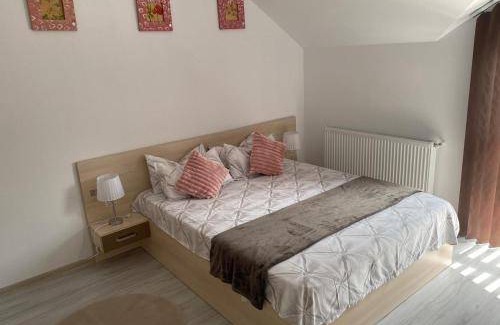 Lugoj Apartment | 65 m² Apartment ∙ 2 bedrooms ∙ 6 guests