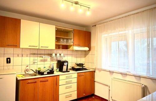 Dumbravita Apartment | 65 m² Apartment ∙ 3 guests