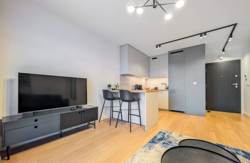 Srodmiescie Apartment | 6th Floor Studio with the River View