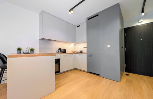Srodmiescie Apartment | 6th Floor Studio with the River View