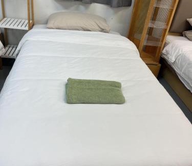 Auckland Apartment | 7 Beds Including 2 Double Beds, 3 Single Beds, 2 Sofa Beds Serviced Studio, Suite 8