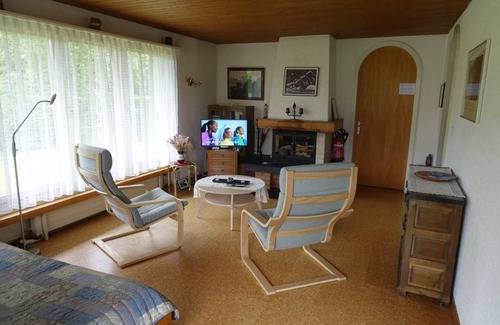Aeschi bei Spiez Apartment | 70 m² Apartment ∙ 1 bedroom ∙ 3 guests