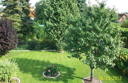 Marzahn Apartment | 70 m² Apartment ∙ 1 bedroom ∙ 2 guests
