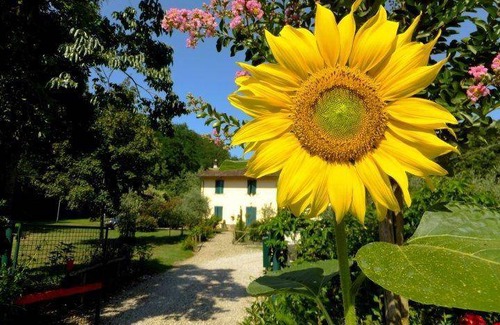 Saturnana Apartment | 70 m² Apartment ∙ 2 bedrooms ∙ 4 guests