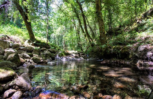 Arcos de Valdevez Cottage | 70 m² Cabin ∙ 1 bedroom ∙ 3 guests