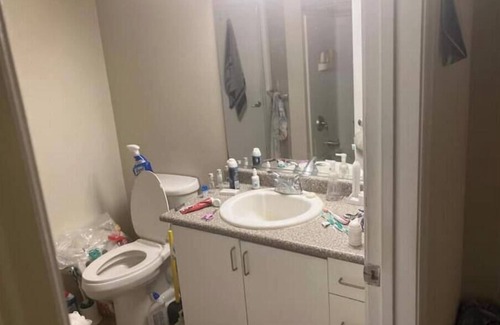 Contra Costa County Apartment | 750 sq ft, carpeted, futon.