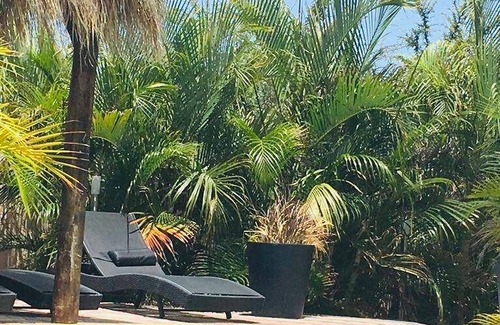 Cas Grandi Apartment | 77 m² Apartment ∙ 2 bedrooms ∙ 6 guests
