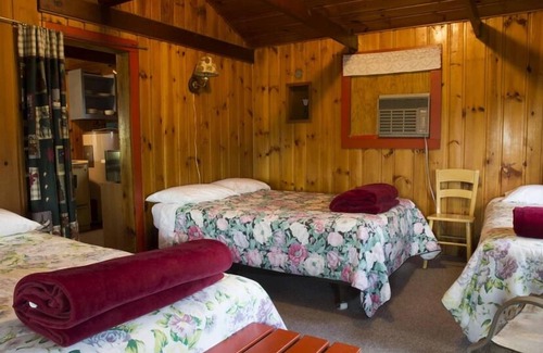 Park Rapids Cabin | 8* Riverfront! 2 bedroom cabin! Adventure!