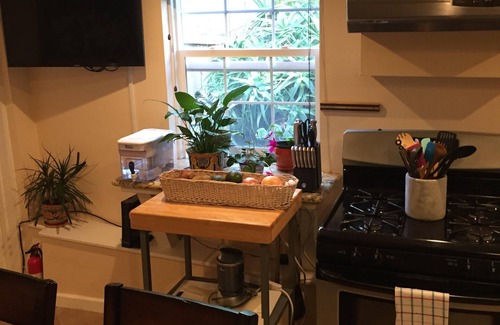 Outer Sunset Apartment | 90 Day+ Stay, Traveling Nurses & Execs welcome! W/D, Dish, Yard,