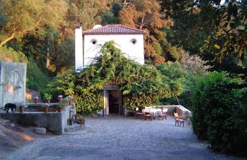 Sintra House | A 3 Storey Country House Nestled in 10 Hectares of Woodland