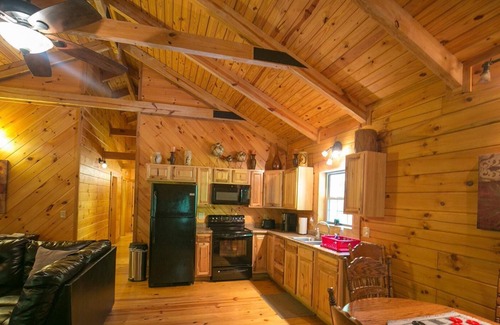 Stanton Cabin | A beautiful log cabin sitting in a forested paradise!
