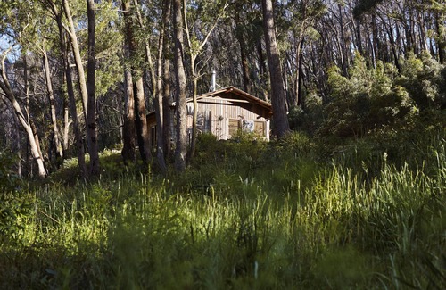 Reidsdale Cabin | A bright spacious private timber cabin, on a beautiful 11acre off-grid property!