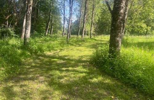 Saint-Cernin-de-lHerm Other | a côté du petit Moulin