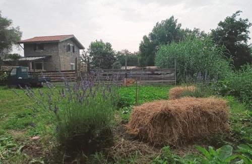 Albenga Apartment | A Ca du Giaba