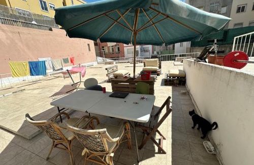 Falca House | A Casa do Gato