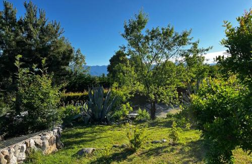 Moruzzo Bed & Breakfast | A Cjase di Sandra