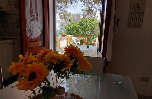 Marina Serra House | A corner of paradise in the green of an olive grove just a few steps from the sea