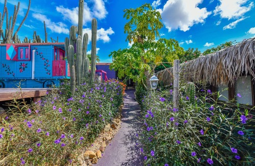 Oranjestad Bed & Breakfast | A Creative Boho Oasis in Aruba — Long-Stay Haven & Yoga Venue