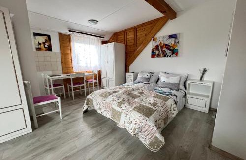 Zánka Apartment | A Festő Vendégháza/The Painter's Guest House