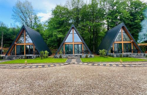 Vadu Crisului House | A-frame Marisa Vadu Crisului