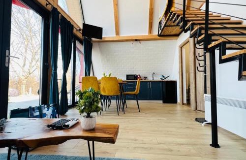 Vadu Crisului House | A-frame Marisa Vadu Crisului