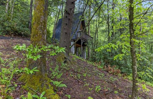 Pine Ridge House | A-Frames Under the Canopy - Entire Property