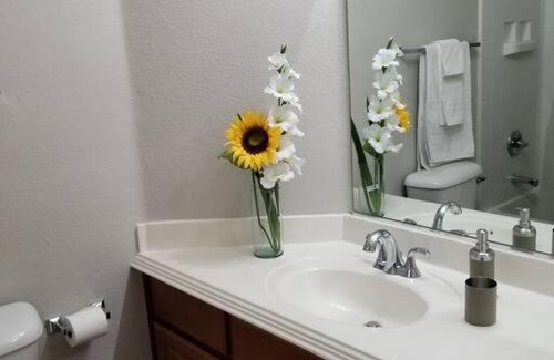 Spring Valley Apartment | A - Fully remodeled and professionally decorated