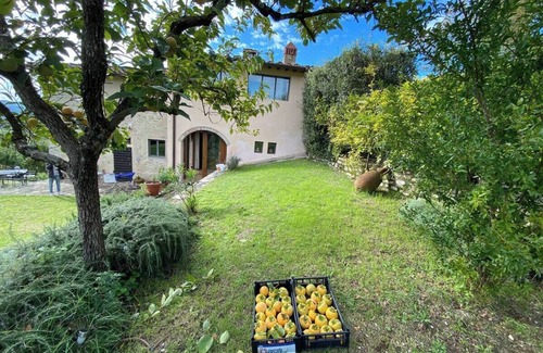 Twist House | A Haven of Peace in the Heart of Chianti Rufina